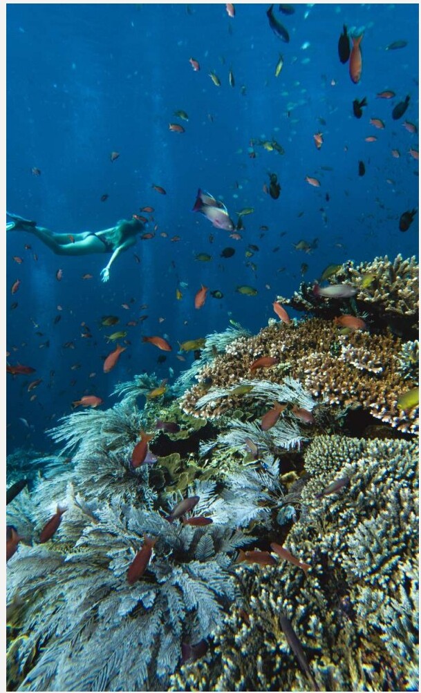 Pulau Suanggi & Banda Neira - 1