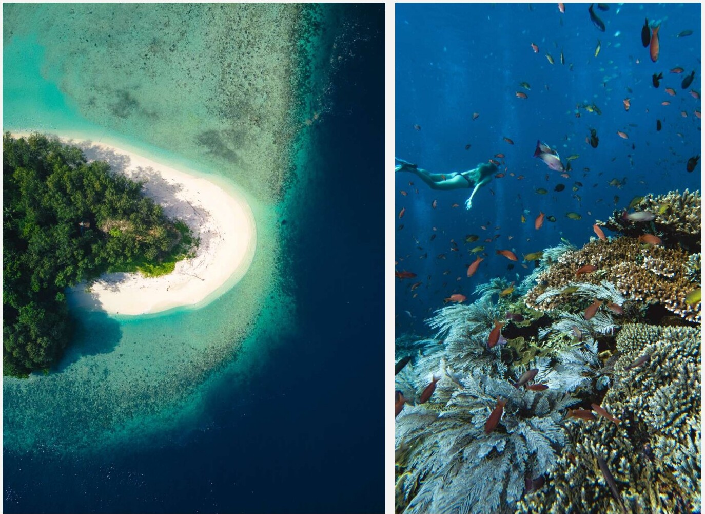 Aliikai Voyage — 12-Day Ambon to Sorong
