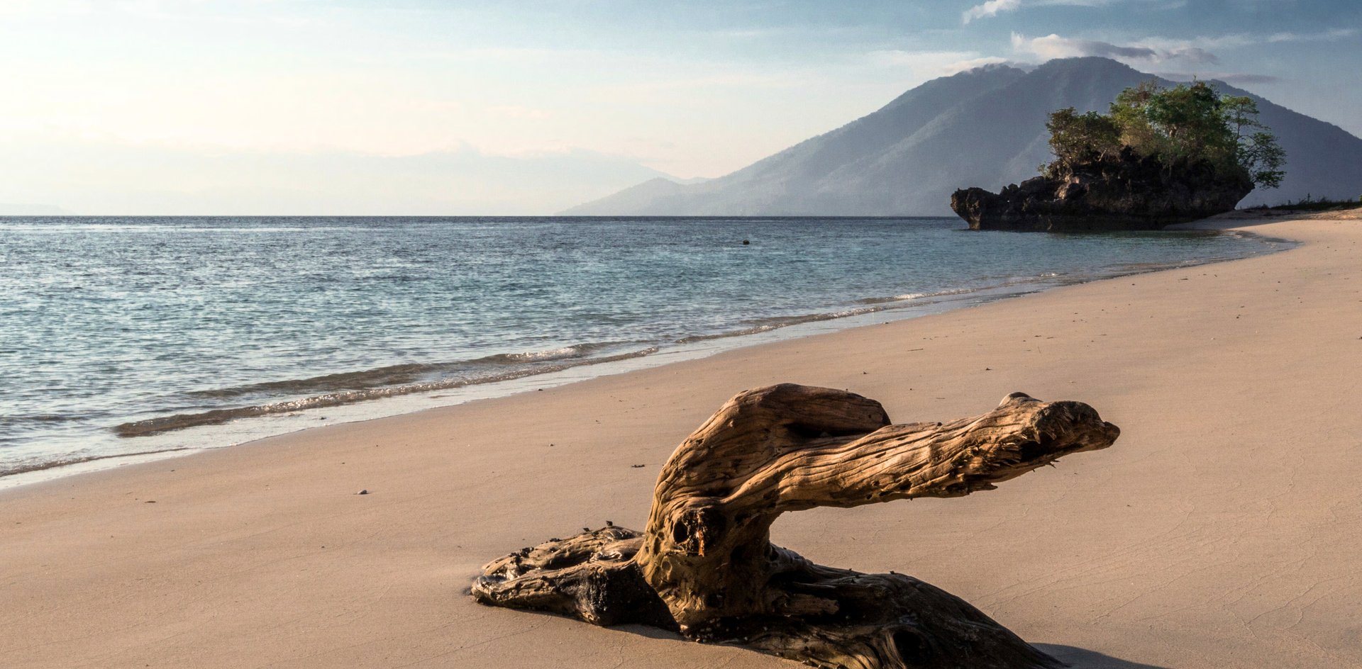 Alor to Komodo National Park — Giants of the Deep