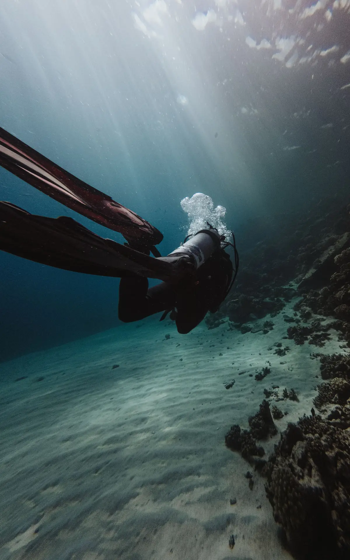 Diver in fins descending through sunlit water towards a shallow reef
