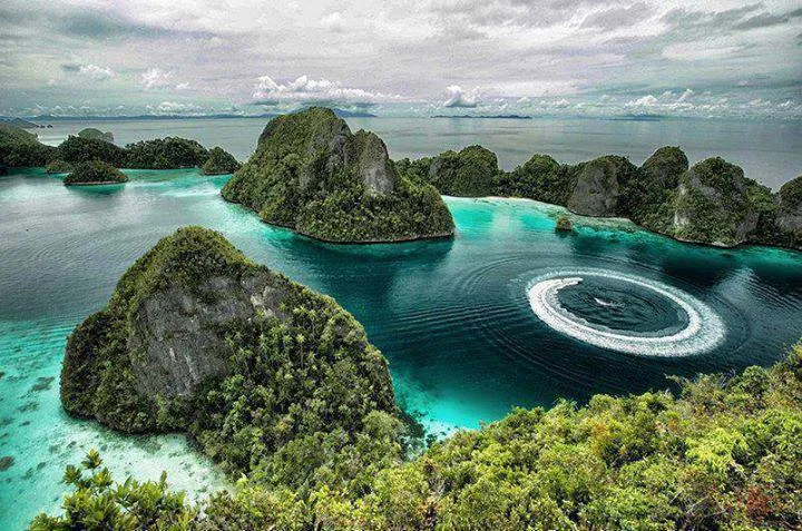 Soft coral pinnacles and schooling fish at Four Kings, Misool, Raja Ampat