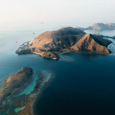 Coral bommies and schooling fish in the drift channel at Golden Passage, North Komodo