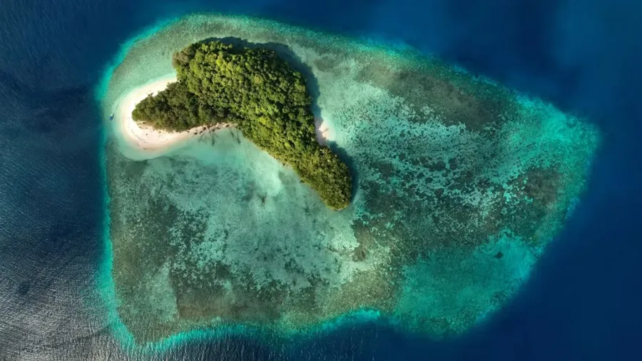 Coral slope and reef life at Mioskon in the Dampier Strait, Raja Ampat