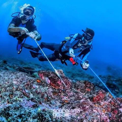 Divers drifting through the channel at The Cauldron (Shotgun), North Komodo