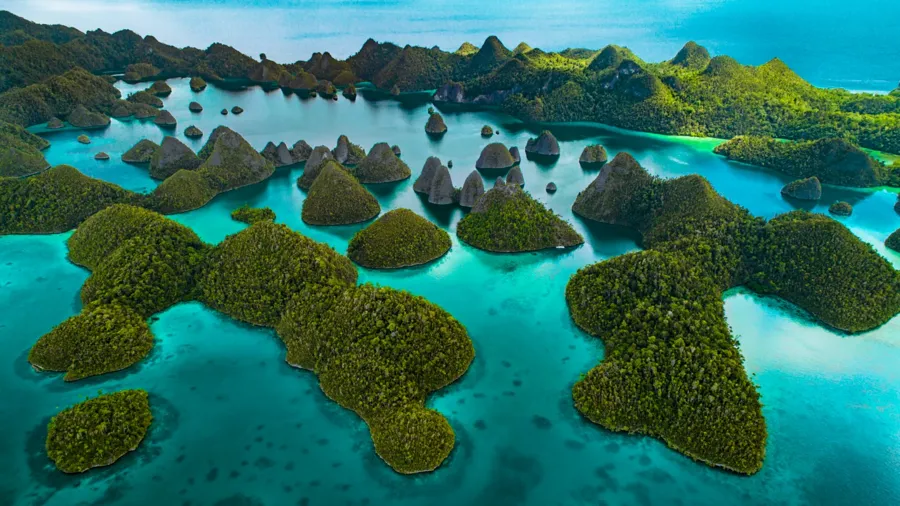 Karst islands and turquoise lagoons of Wayag in northern Raja Ampat