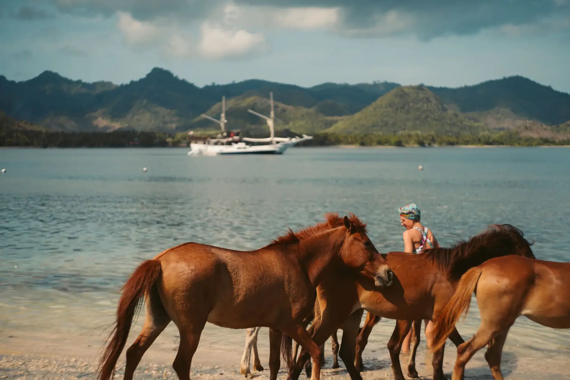 Wild horses on the beach with phinisi