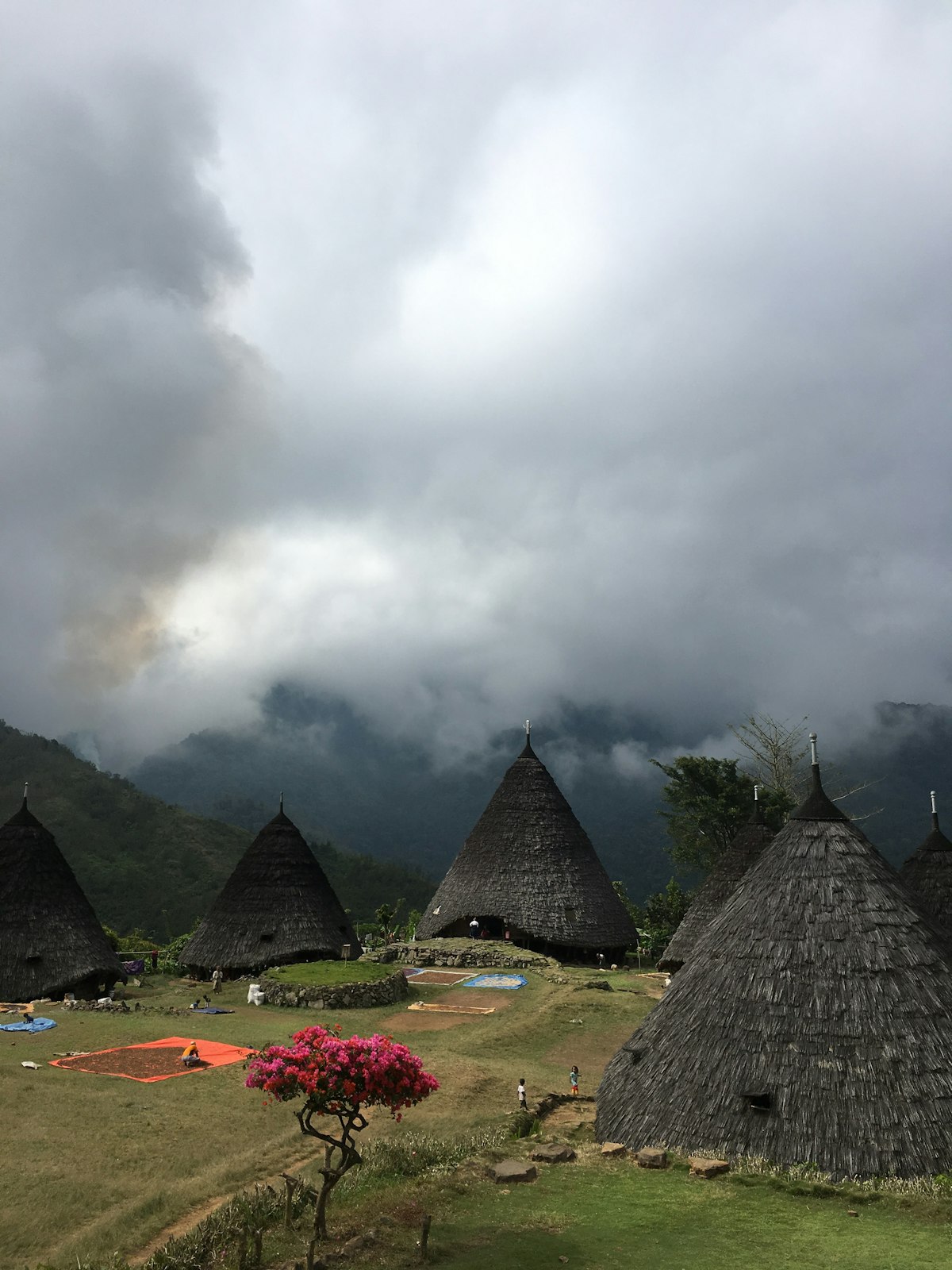 Traditional thatched roof village Flores Indonesia culture
