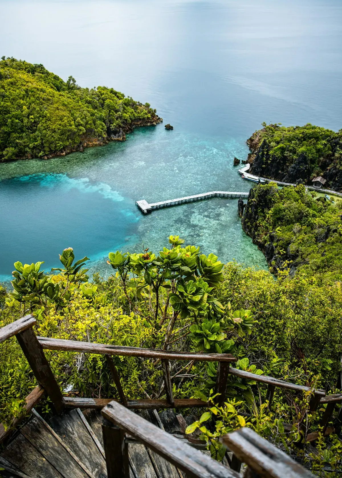 Hidden bay with lush vegetation Misool Raja Ampat Indonesia