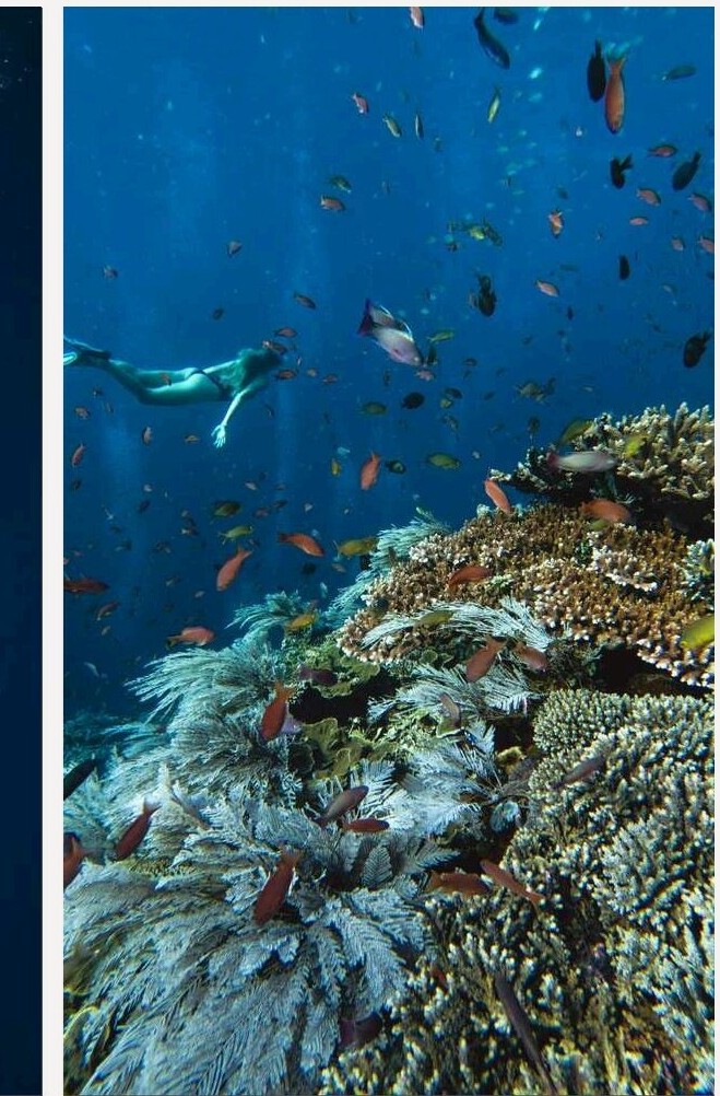 Saparua & Nusa Laut - 1