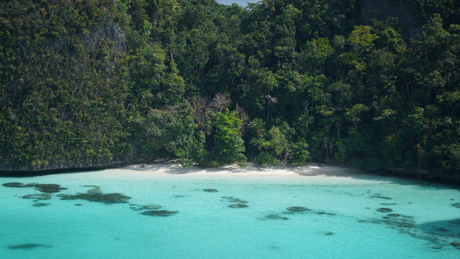 Ambon to Sorong — The Spice Islands & Misool