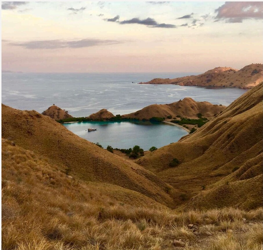 Pink Beach, Rinca & Kalong - 1