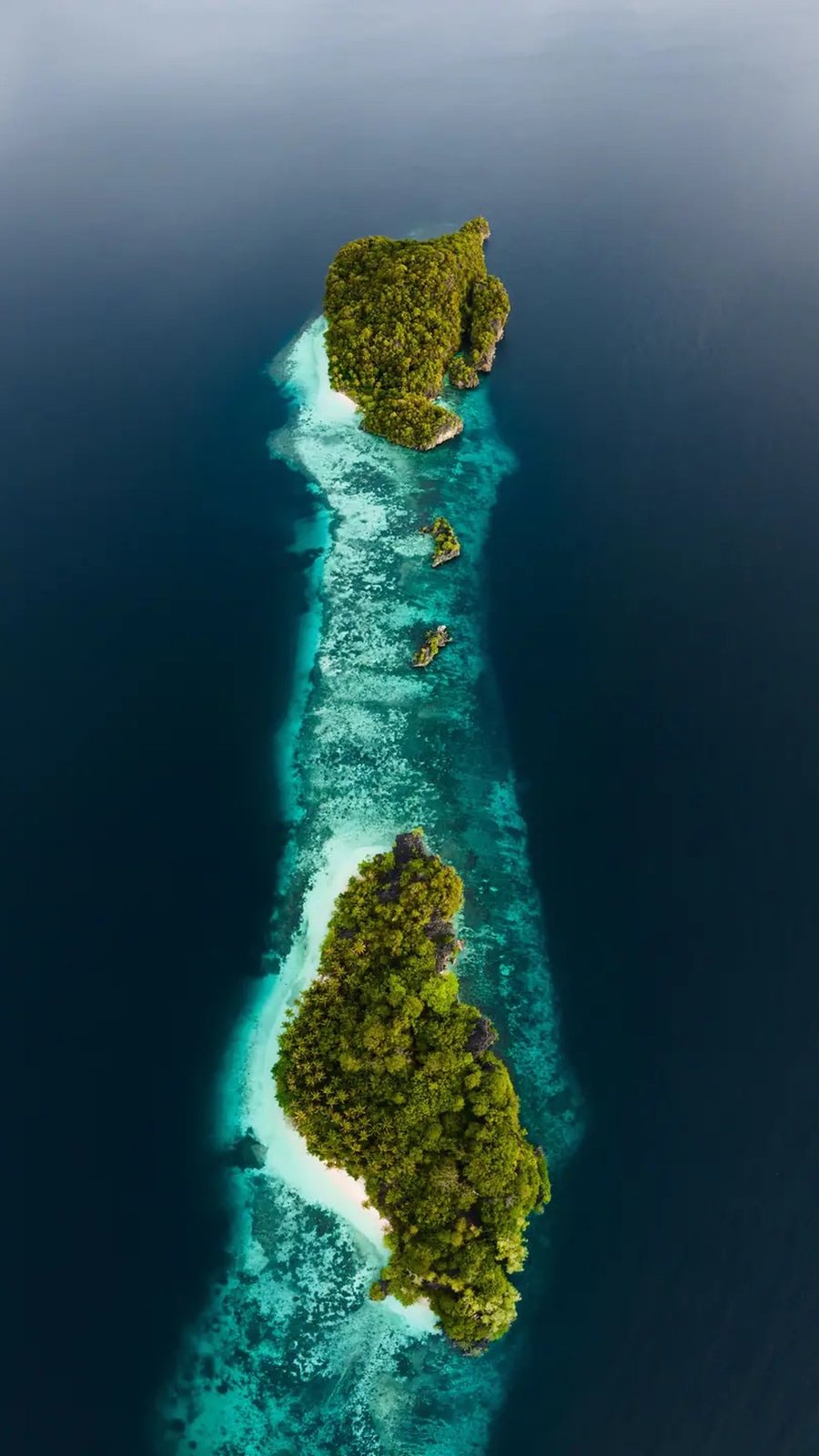 Drone view of a small forested islet ringed by coral reef in Raja Ampat, Indonesia