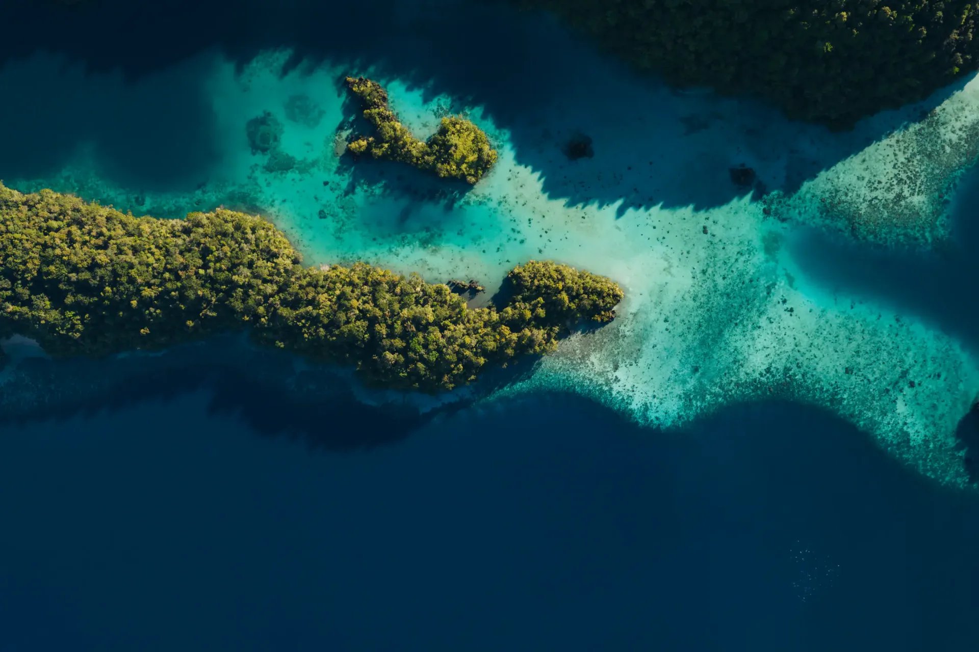 Divers exploring vibrant coral reef with manta rays in Raja Ampat, Indonesia, during luxury liveaboard yacht charter with Navélia