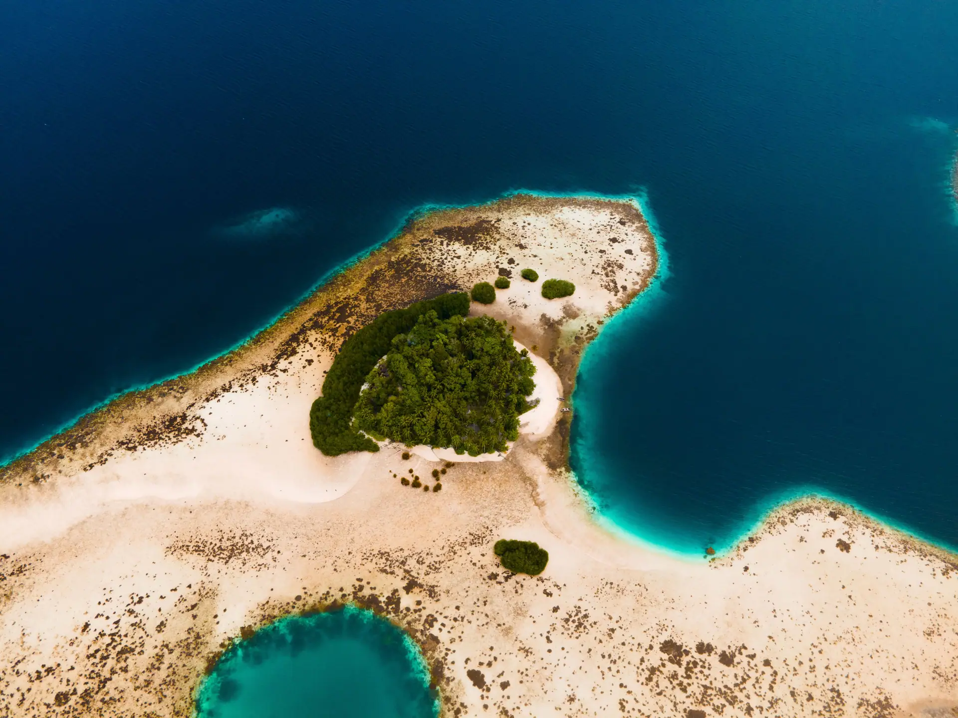 Pristine coral waters of Triton Bay, Indonesia's last diving frontier