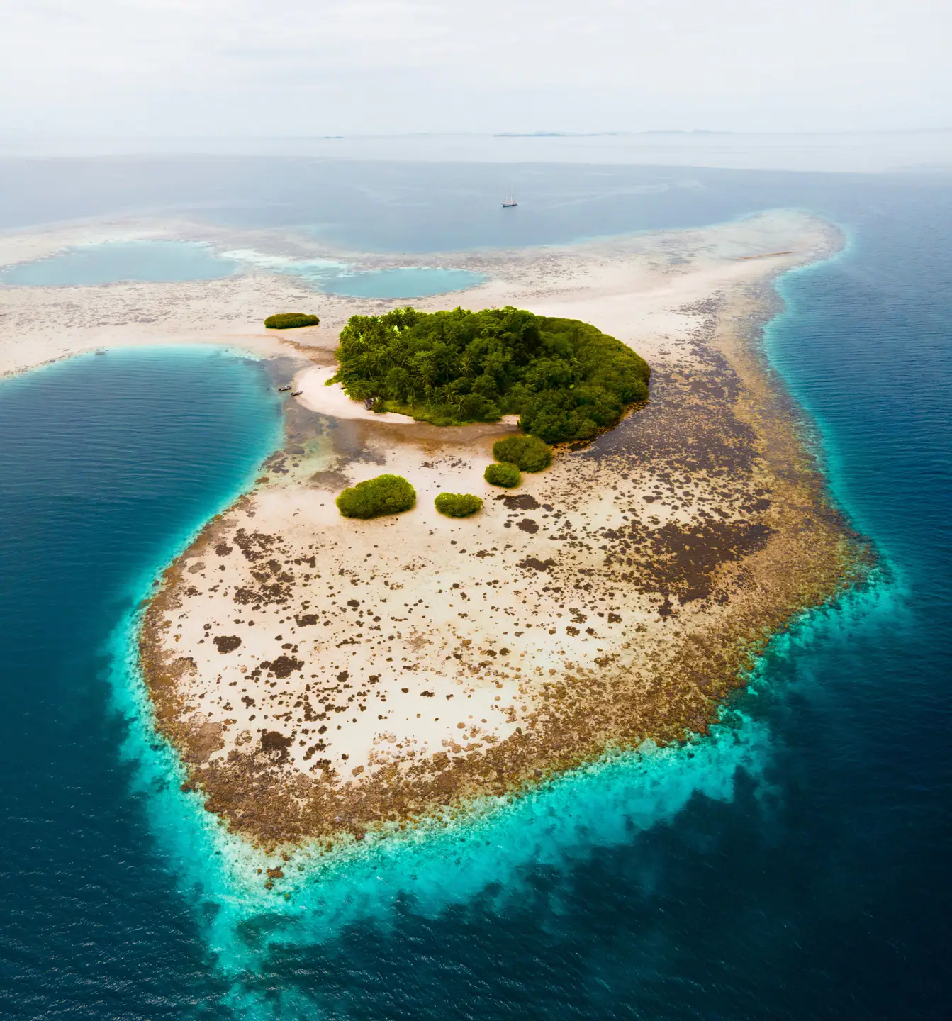 Aerial view of coral island Raja Ampat Indonesia