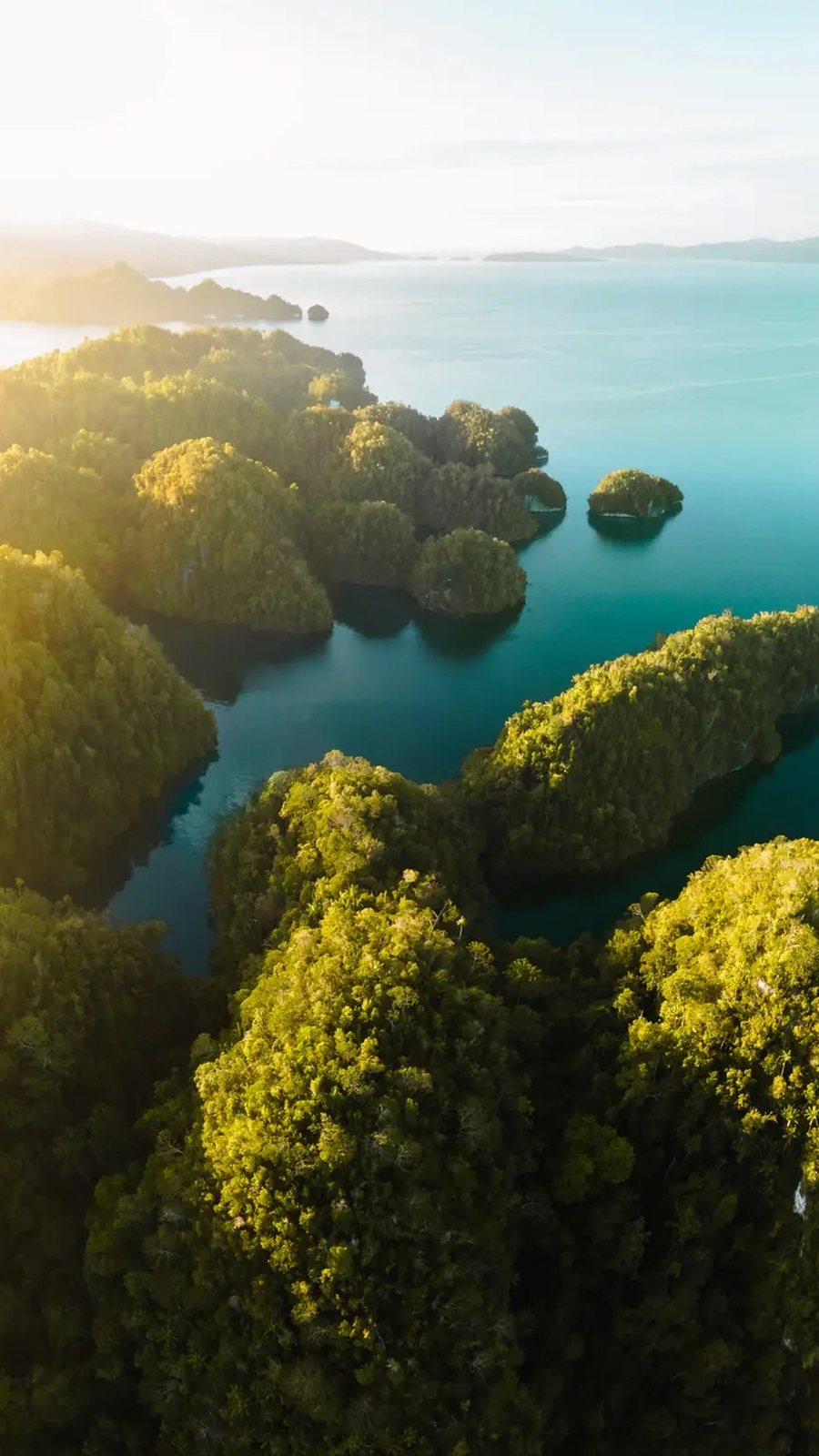 Aerial panorama of limestone karst islands rising from turquoise water in Raja Ampat, Indonesia