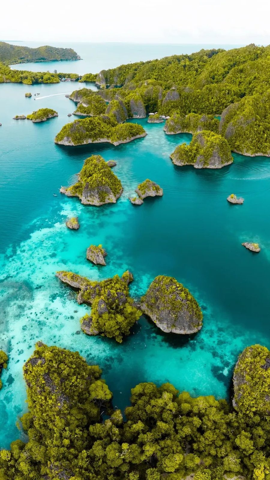 Jungle-covered karst islets and blue lagoons at Piaynemo, Raja Ampat, Indonesia