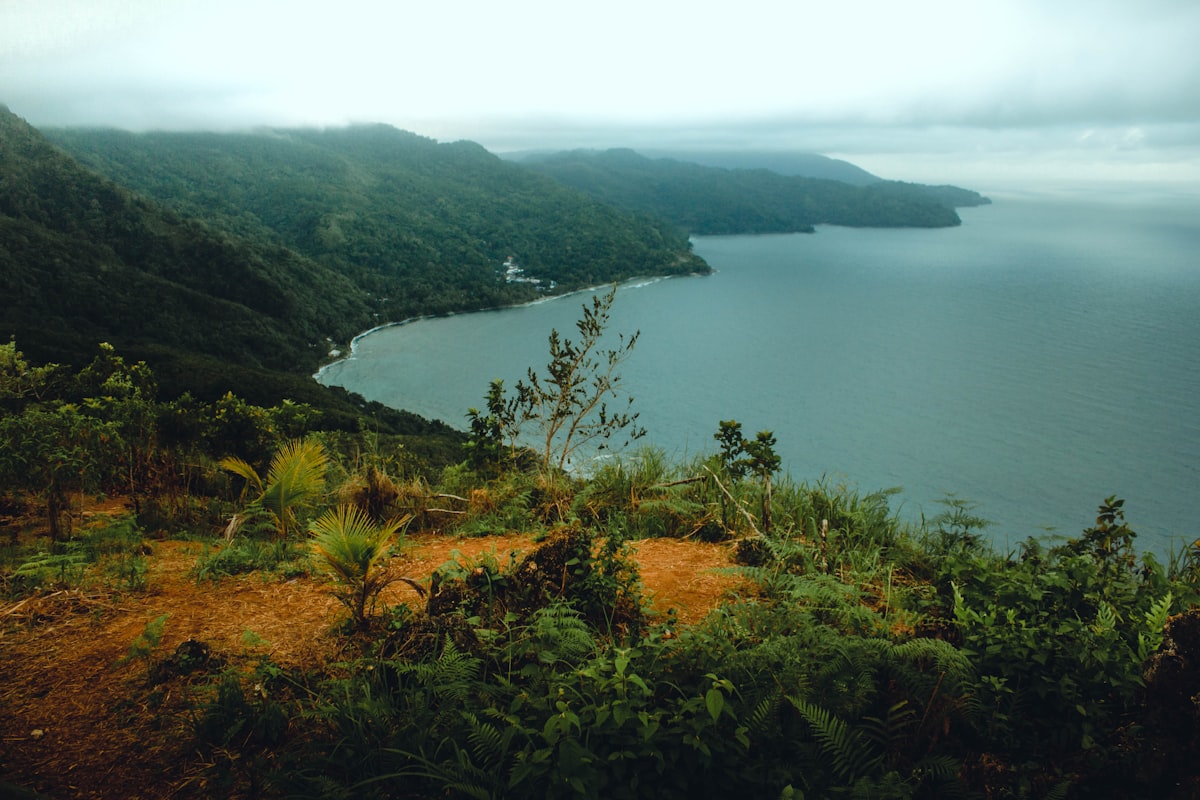 Lush green bay with turquoise waters Maluku Spice Islands