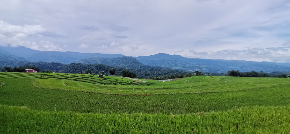 Green volcanic hills and coastline North Sulawesi Indonesia