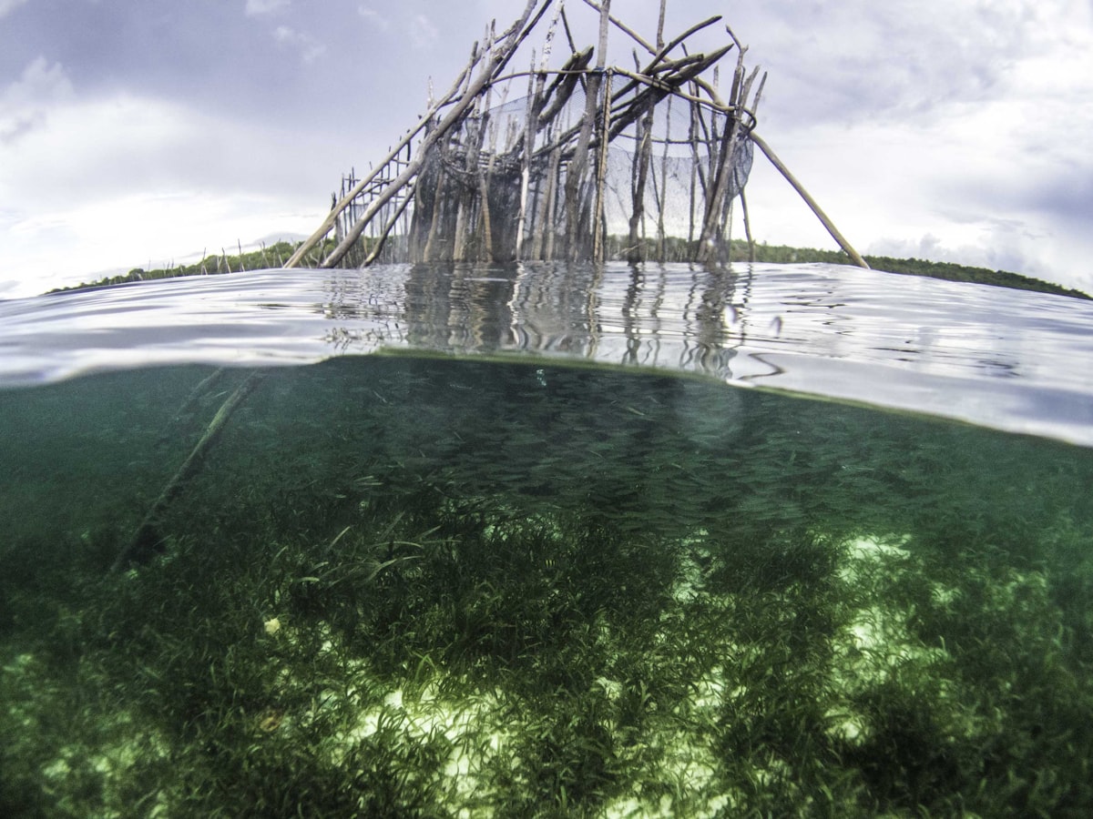 Pier over crystal clear turquoise waters Wakatobi Indonesia