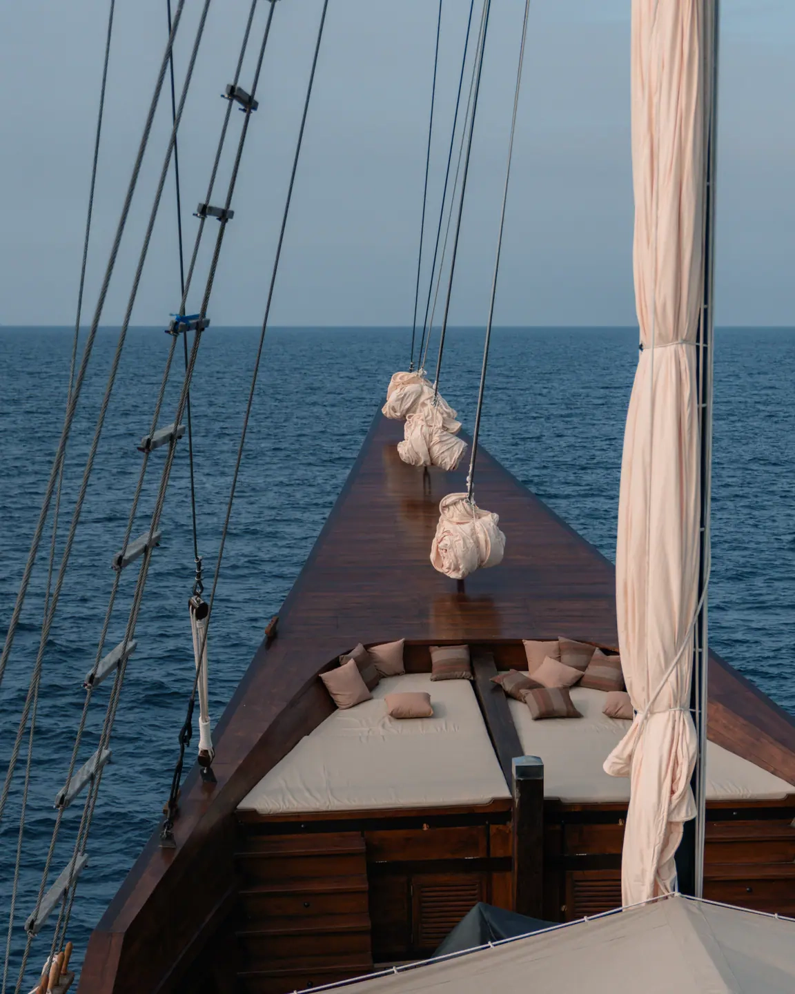 Celestia yacht photo 5