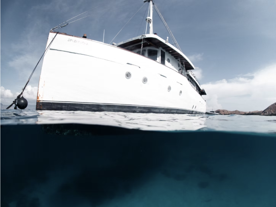 Splendour yacht photo 6